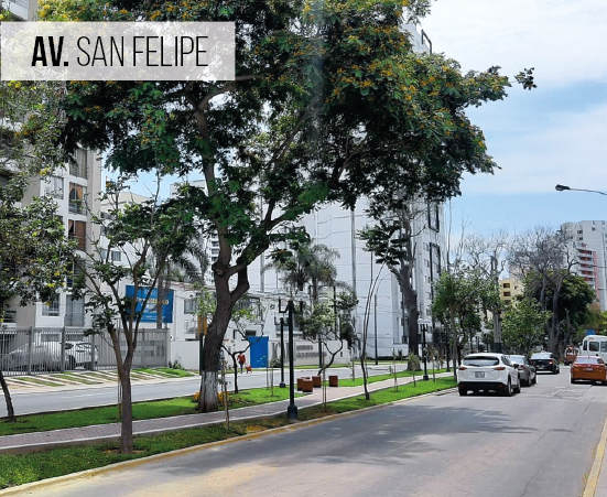 Av. San Felipe