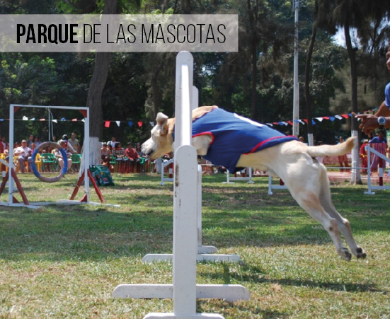 Parque de las mascotas